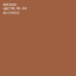 #9E6040 - Au Chico Color Image