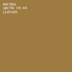 #9E7B40 - Leather Color Image