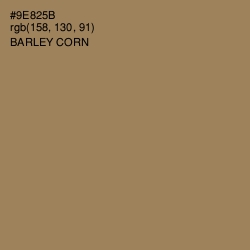 #9E825B - Barley Corn Color Image