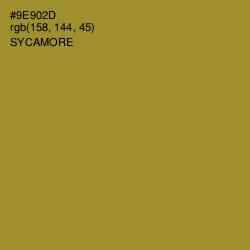 #9E902D - Sycamore Color Image