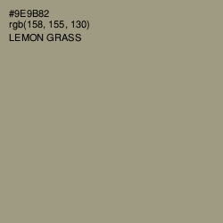 #9E9B82 - Lemon Grass Color Image