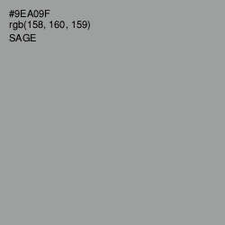 #9EA09F - Sage Color Image