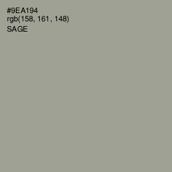 #9EA194 - Sage Color Image