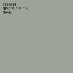 #9EA398 - Sage Color Image