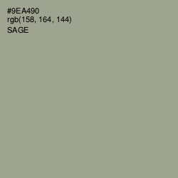 #9EA490 - Sage Color Image