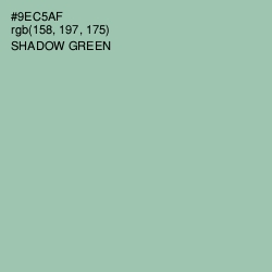 #9EC5AF - Shadow Green Color Image