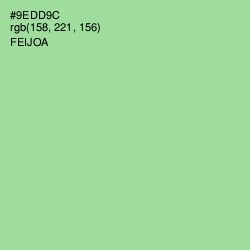 #9EDD9C - Feijoa Color Image