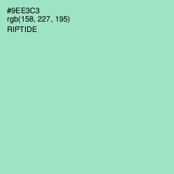 #9EE3C3 - Riptide Color Image