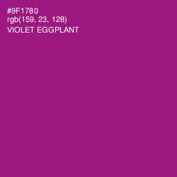 #9F1780 - Violet Eggplant Color Image