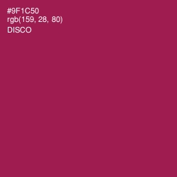 #9F1C50 - Disco Color Image