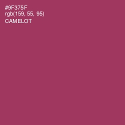#9F375F - Camelot Color Image