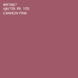 #9F5967 - Cannon Pink Color Image