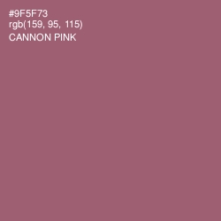 #9F5F73 - Cannon Pink Color Image