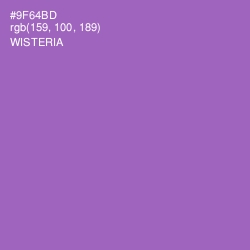 #9F64BD - Wisteria Color Image