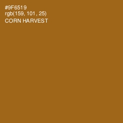 #9F6519 - Corn Harvest Color Image