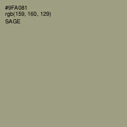 #9FA081 - Sage Color Image
