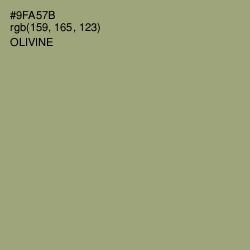 #9FA57B - Olivine Color Image