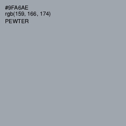 #9FA6AE - Pewter Color Image