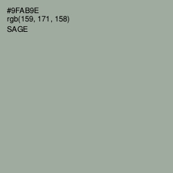 #9FAB9E - Sage Color Image
