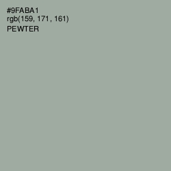 #9FABA1 - Pewter Color Image