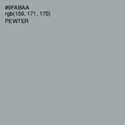 #9FABAA - Pewter Color Image
