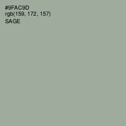 #9FAC9D - Sage Color Image