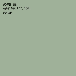 #9FB198 - Sage Color Image