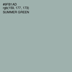 #9FB1AD - Summer Green Color Image