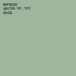 #9FB59D - Sage Color Image