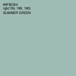 #9FBCB4 - Summer Green Color Image