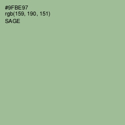 #9FBE97 - Sage Color Image