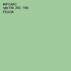 #9FCA9C - Feijoa Color Image