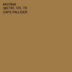 #A07B48 - Cape Palliser Color Image