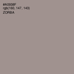 #A0938F - Zorba Color Image