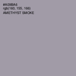 #A09BA6 - Amethyst Smoke Color Image