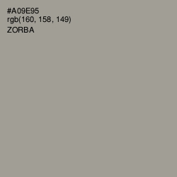 #A09E95 - Zorba Color Image