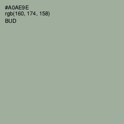 #A0AE9E - Bud Color Image