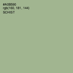 #A0B590 - Schist Color Image