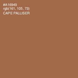 #A16949 - Cape Palliser Color Image