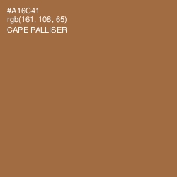 #A16C41 - Cape Palliser Color Image