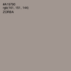 #A19790 - Zorba Color Image