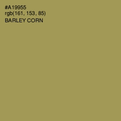 #A19955 - Barley Corn Color Image