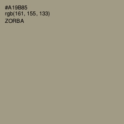 #A19B85 - Zorba Color Image