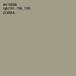 #A19E88 - Zorba Color Image