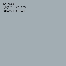 #A1ACB3 - Gray Chateau Color Image