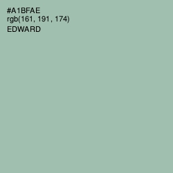 #A1BFAE - Edward Color Image
