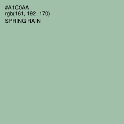 #A1C0AA - Spring Rain Color Image