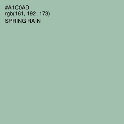 #A1C0AD - Spring Rain Color Image