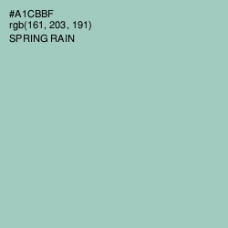 #A1CBBF - Spring Rain Color Image