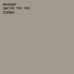 #A29A8F - Zorba Color Image